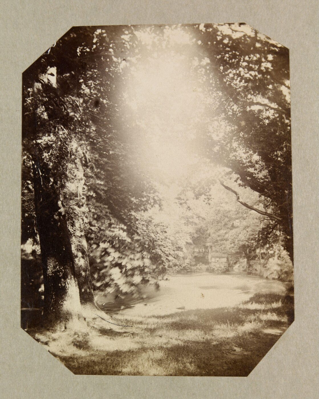 Clementina, Lady Hawarden, Photograph