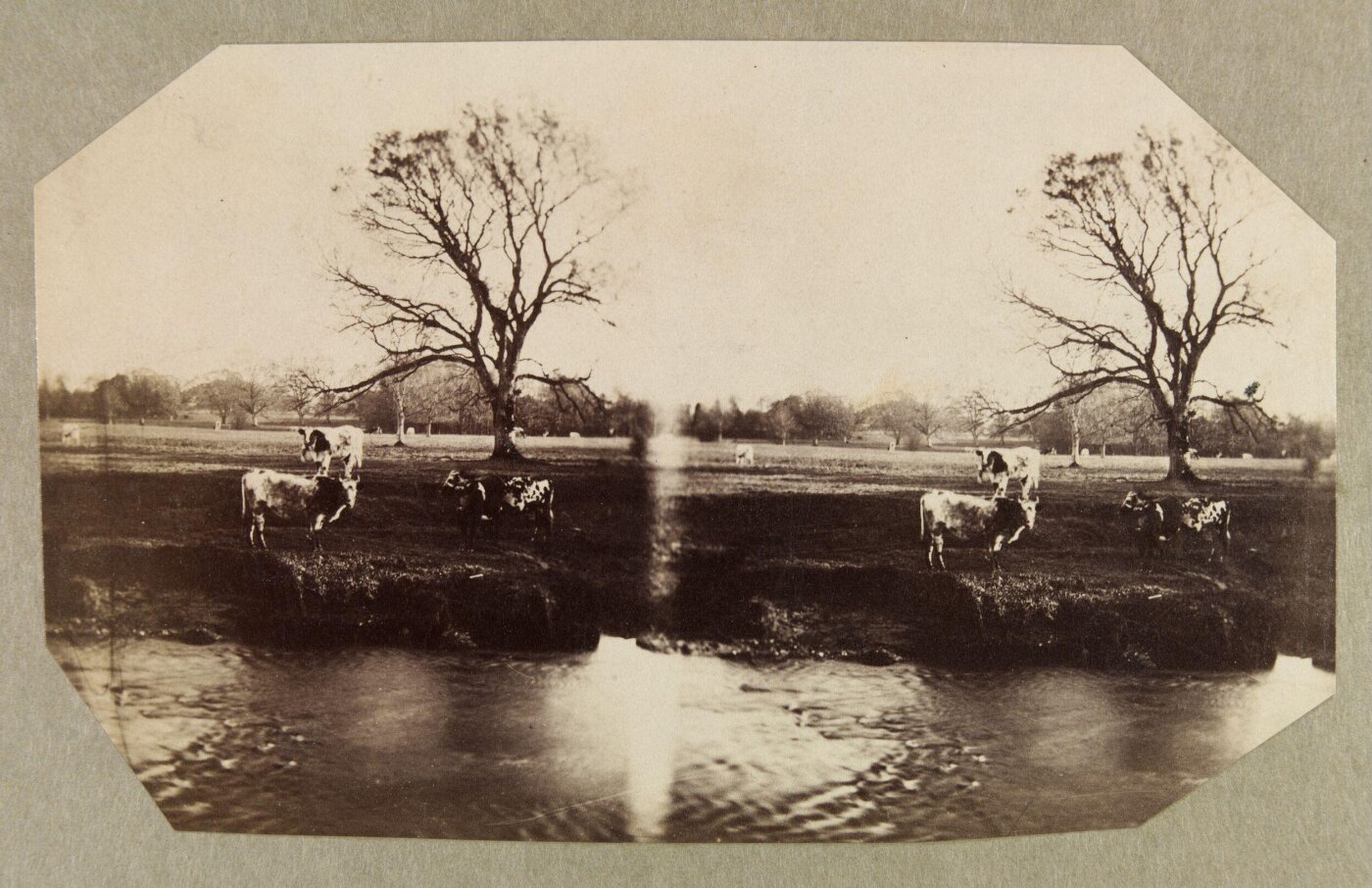 Clementina, Lady Hawarden, Photograph