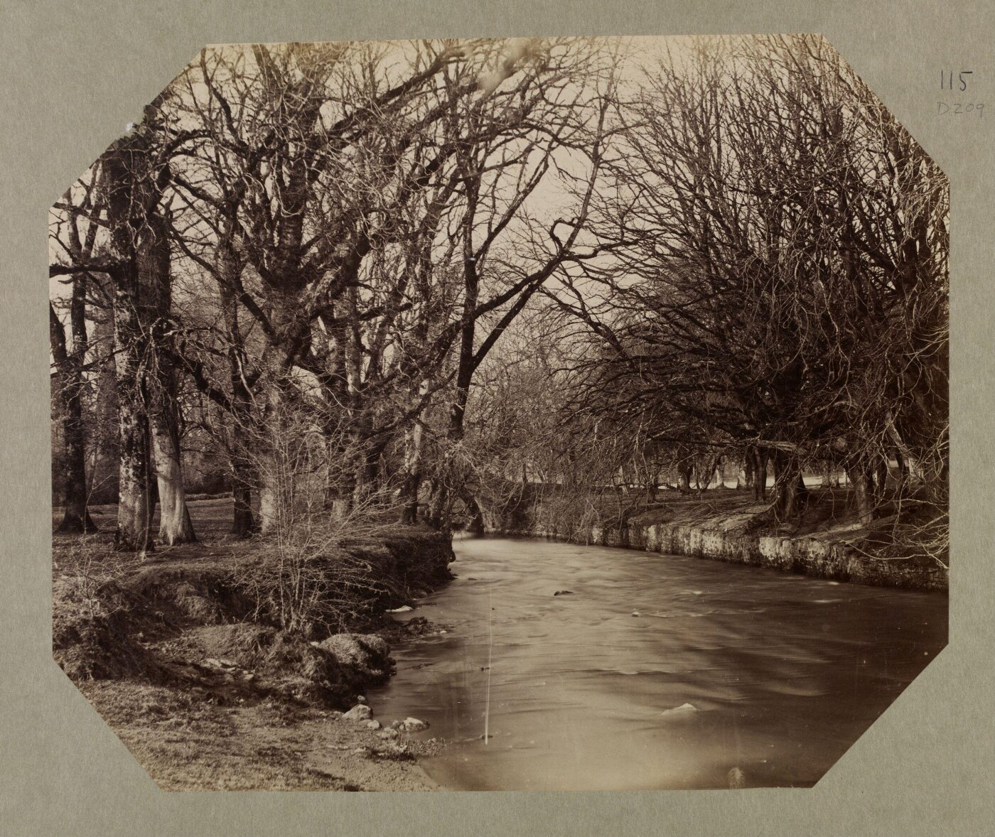 Clementina, Lady Hawarden, Photograph