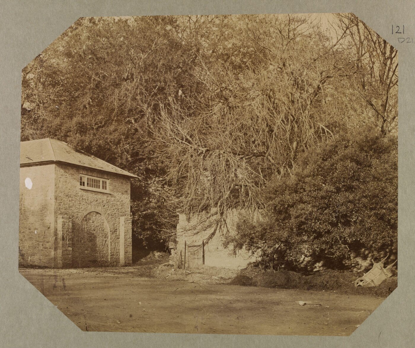 Clementina, Lady Hawarden, Photograph