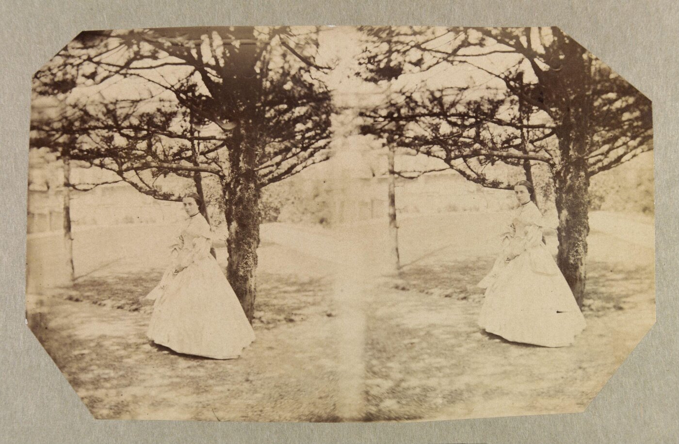 Clementina, Lady Hawarden, Photograph