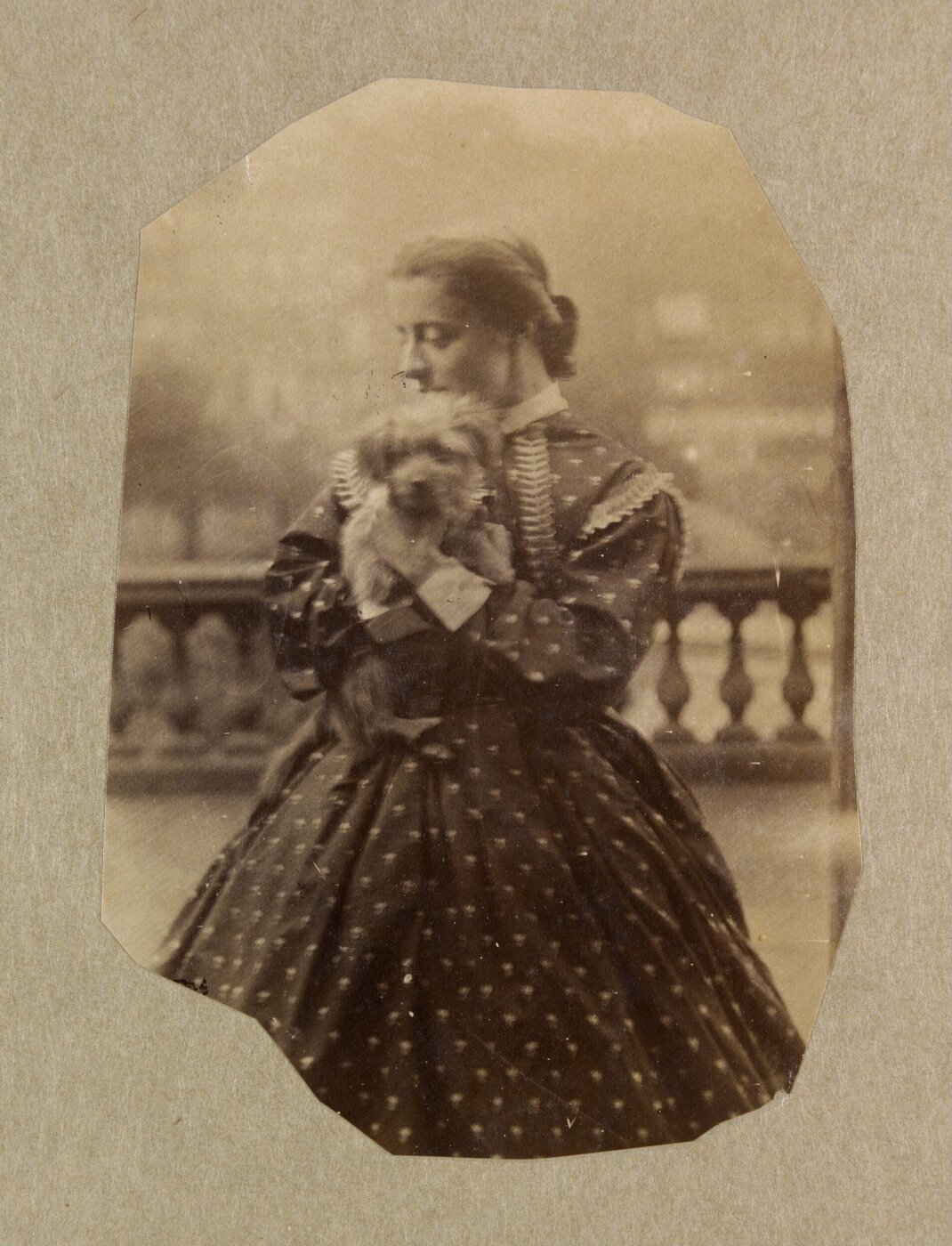 Clementina, Lady Hawarden, Photograph