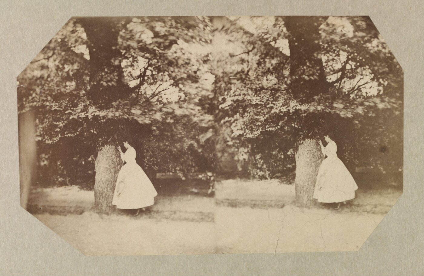 Clementina, Lady Hawarden, Photograph