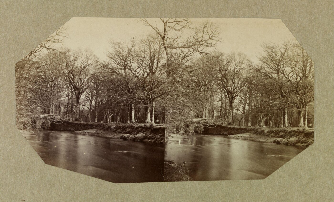 Clementina, Lady Hawarden, Photograph