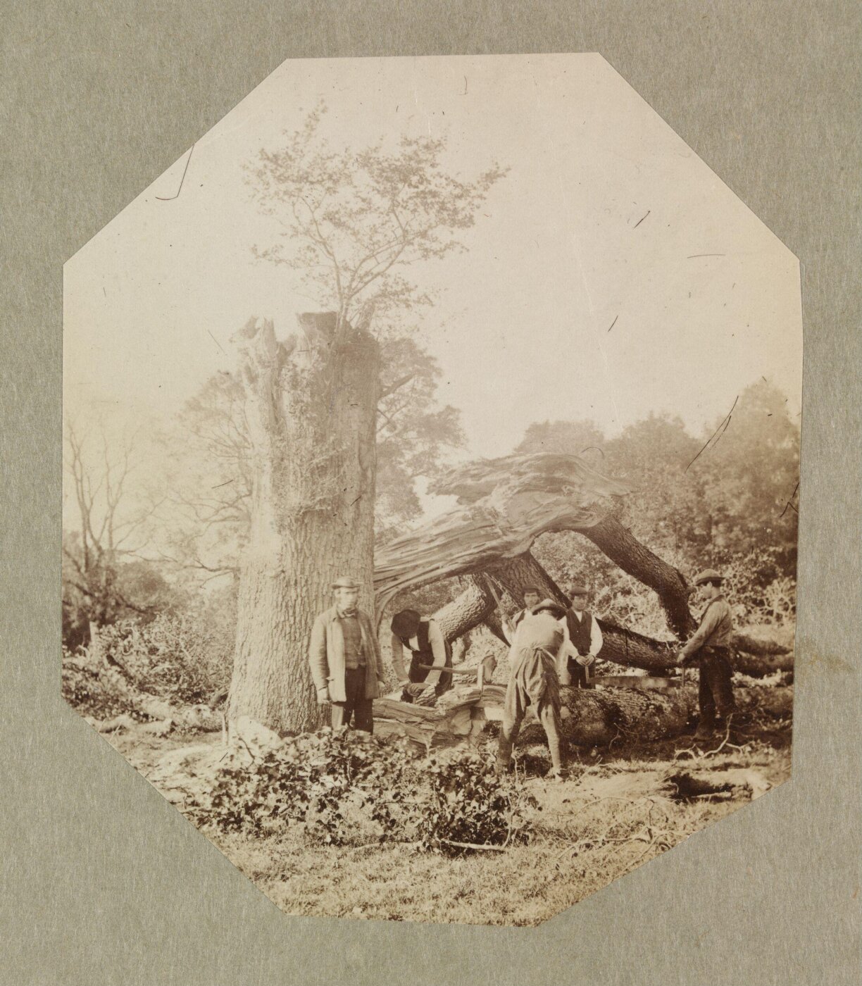 Clementina, Lady Hawarden, Dundrum House Grounds