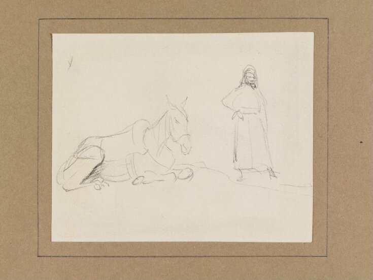 A horse or mule, resting, with an Arab top image