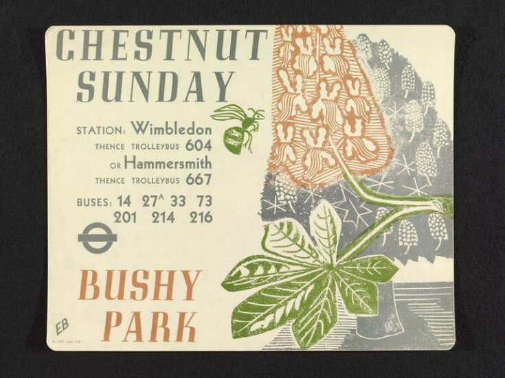 Chestnut Sunday image