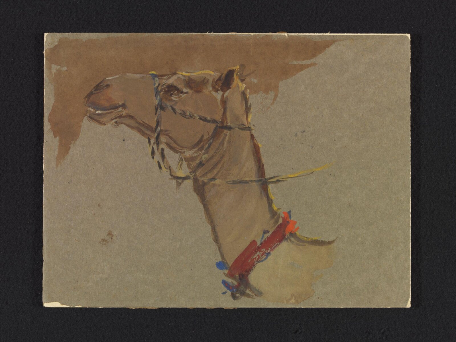 Study of a camel's head, John J. Alsop, 4th quarter 19th century-pre 1954