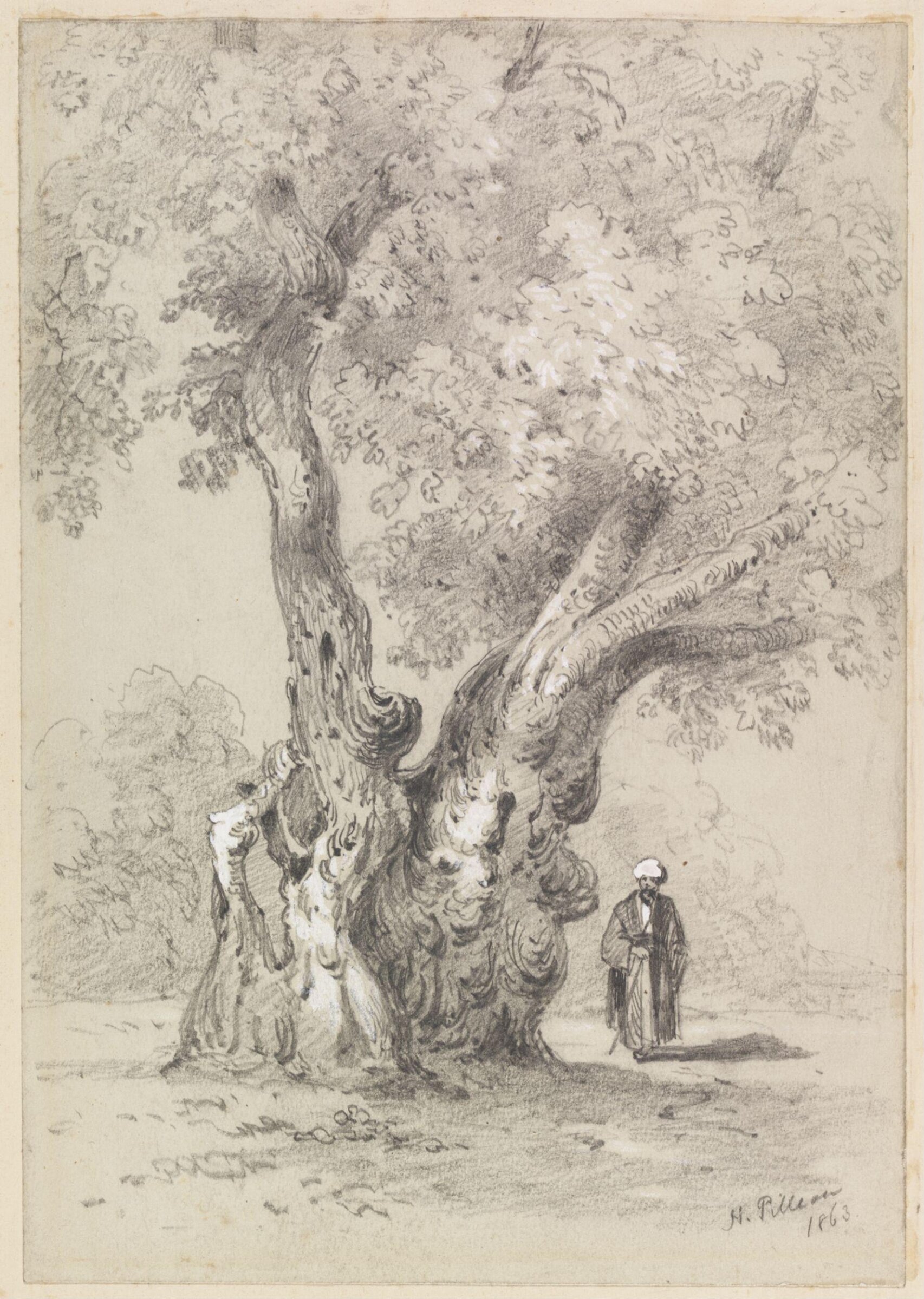 The Virgin's Tree, Mataria, Henry Pilleau, 1863