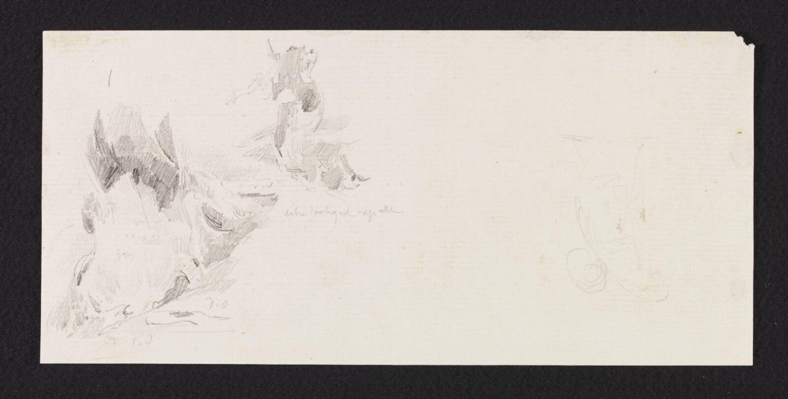 Arbre [...], Théodore Leblanc, ca. 1828-1837