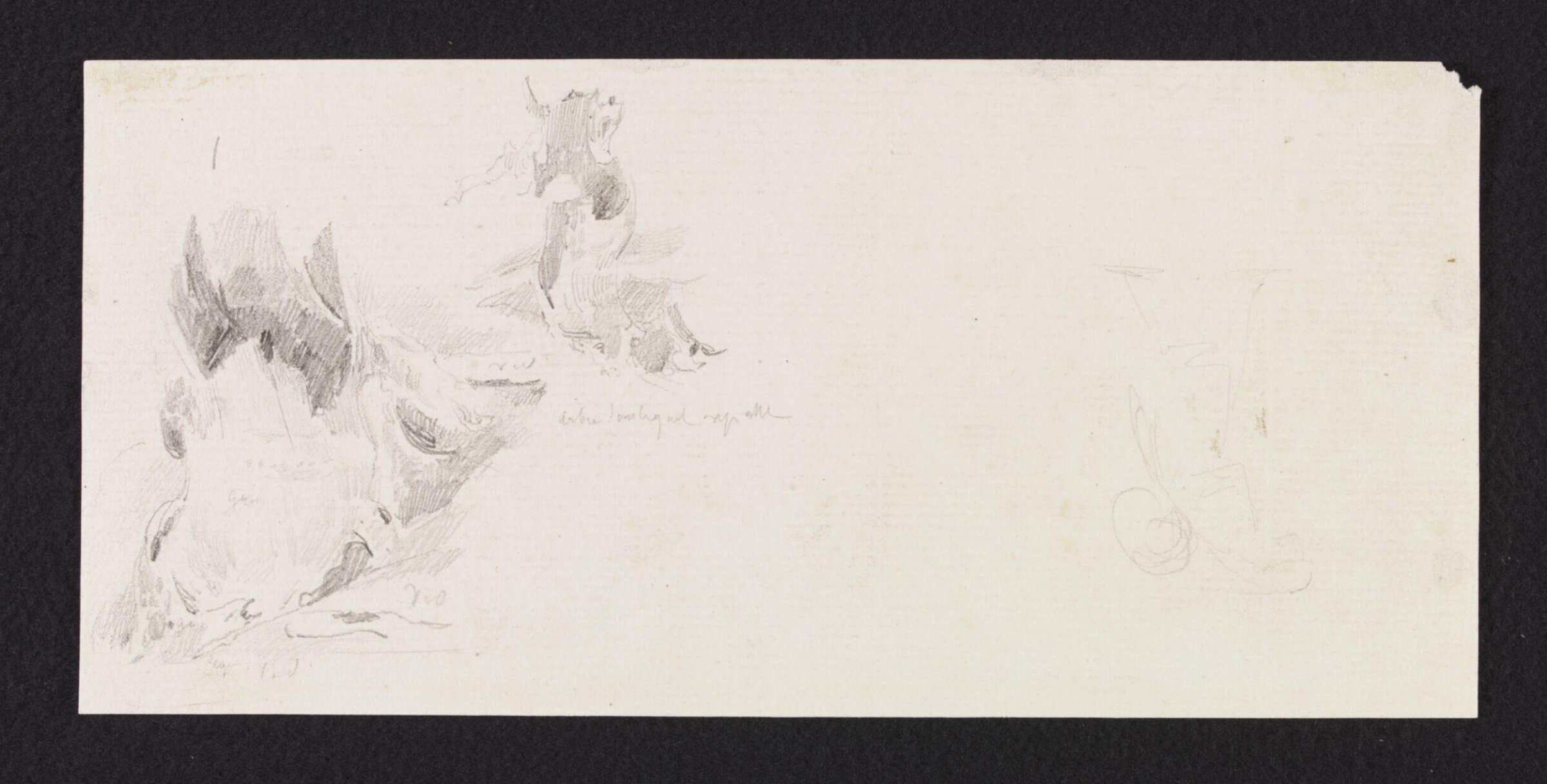 Arbre [...], Théodore Leblanc, ca. 1828-1837