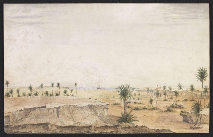 Red Sea. Date Palms and Arab Fort on the Island of Camaran top image