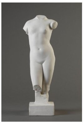 Torso of a woman