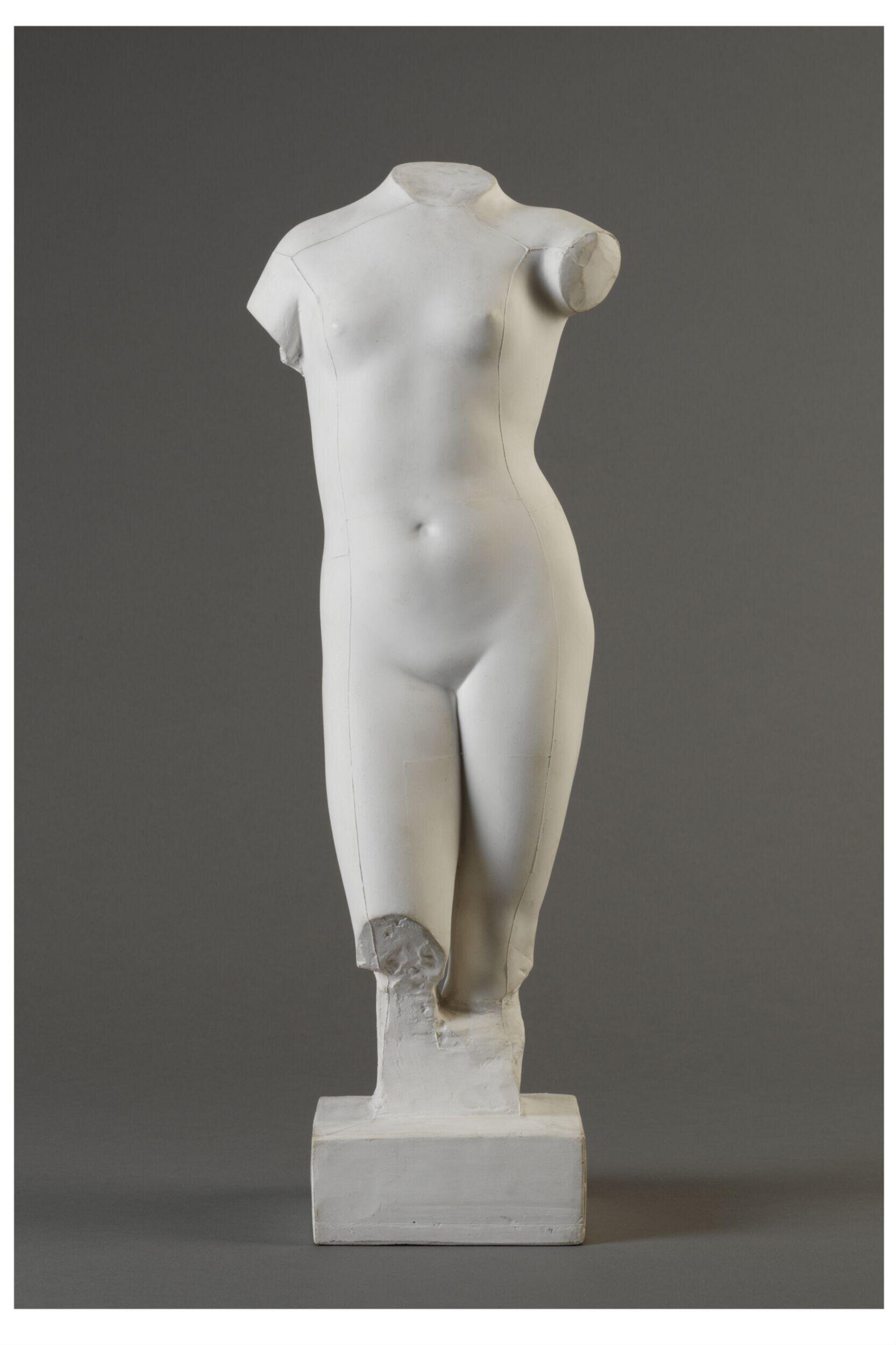 Torso of a woman