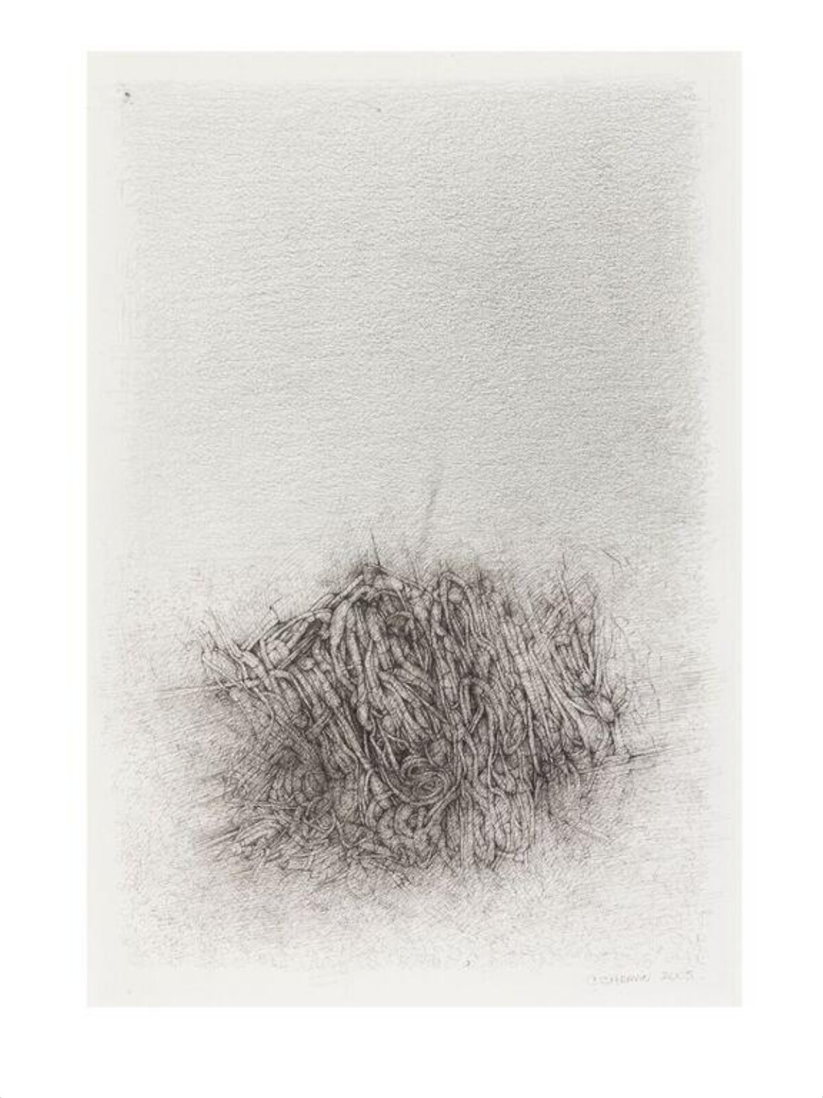 No Title 1, Catalina Chervin, 2005