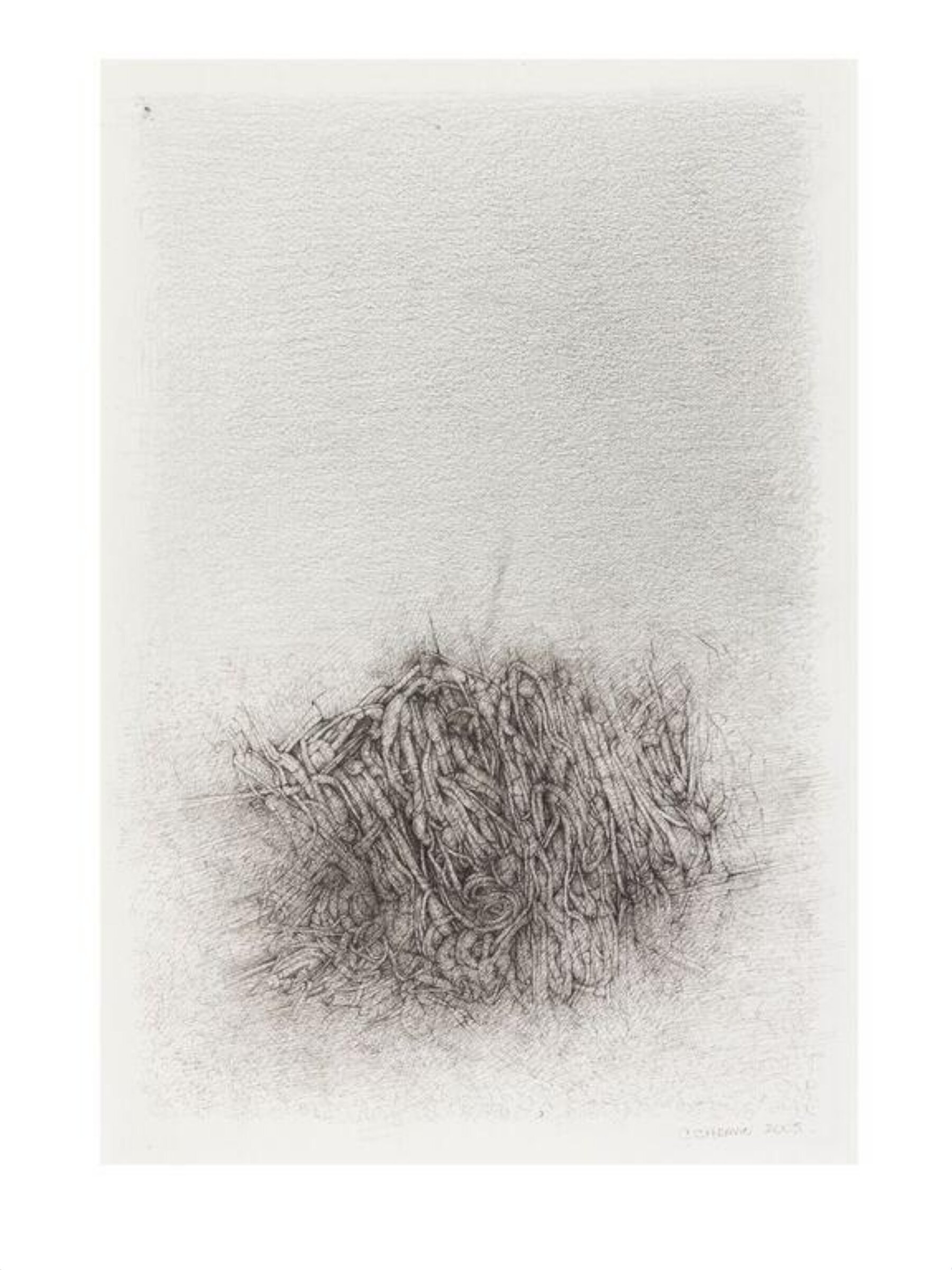 No Title 1, Catalina Chervin, 2005