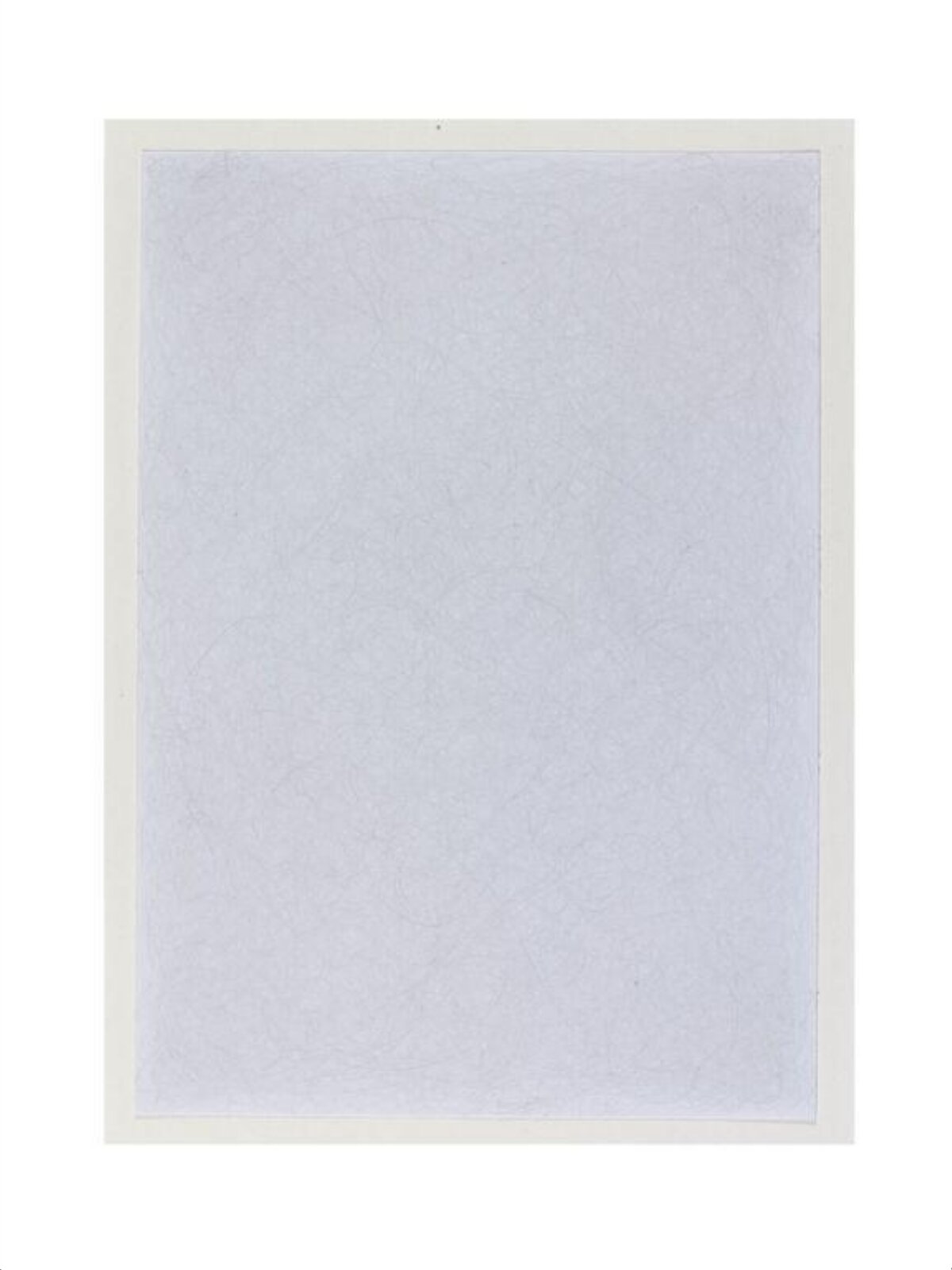 Slow Life (Web) No. 2, Tim Head, 2005