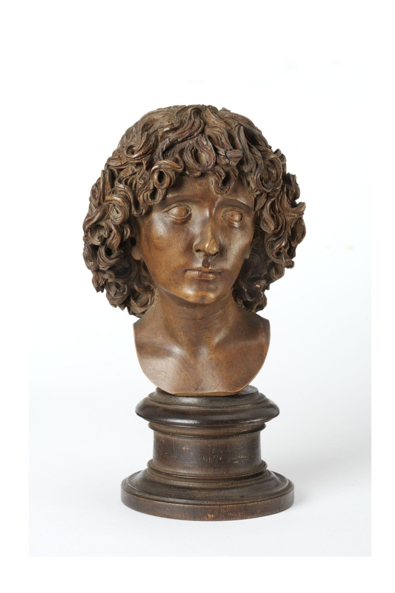 Head of a young man, Michel Erhart, ca. 1480