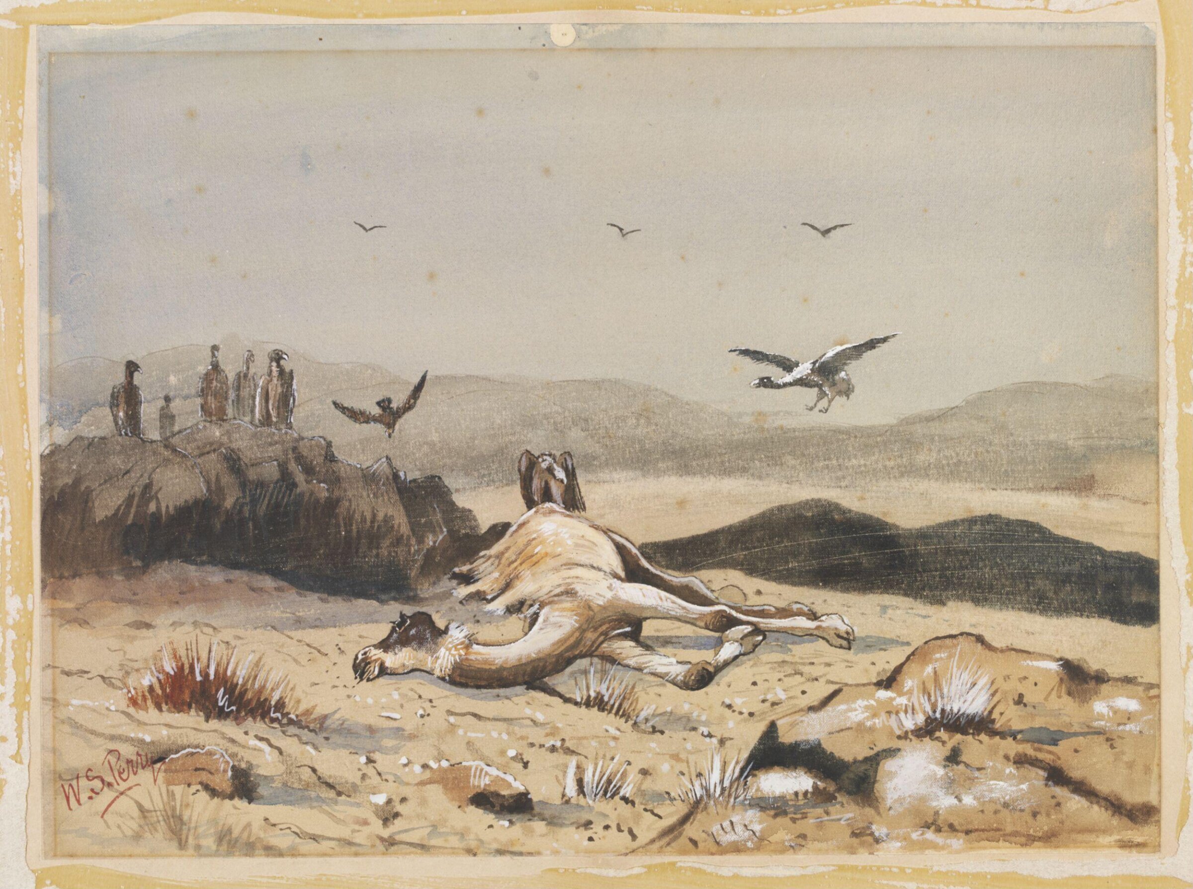IV  The Last of Him, William S. Perry, 1885