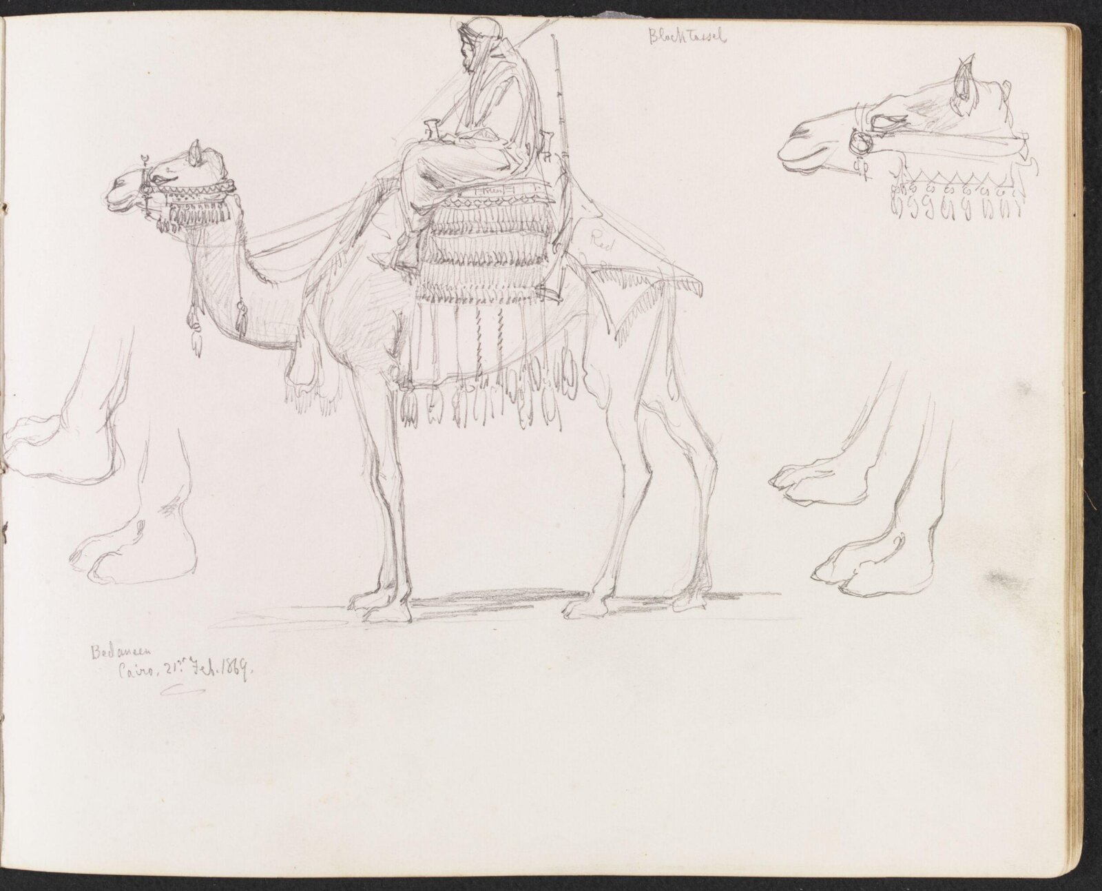 Bedaueen, William Simpson, 1869