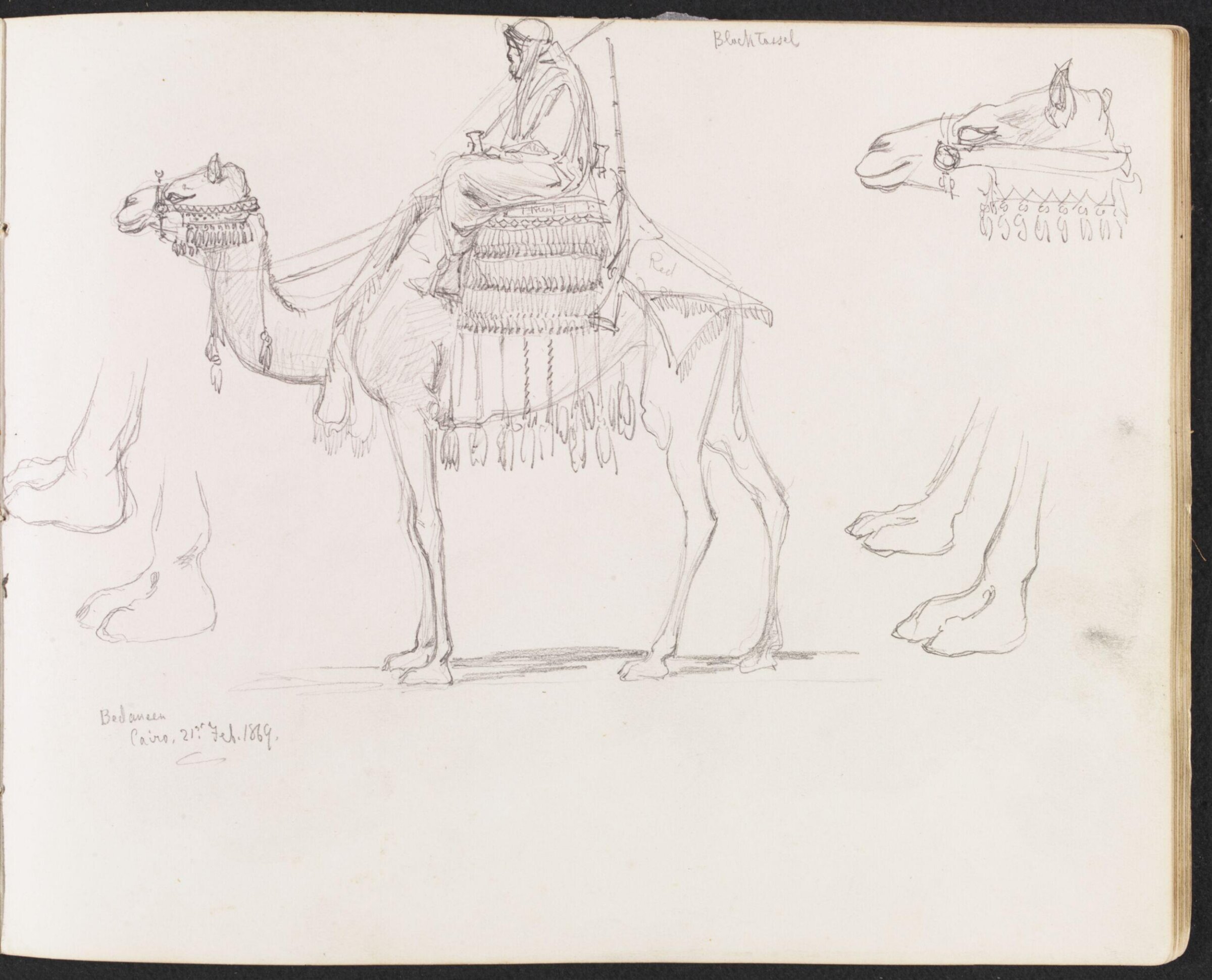 Bedaueen, William Simpson, 1869