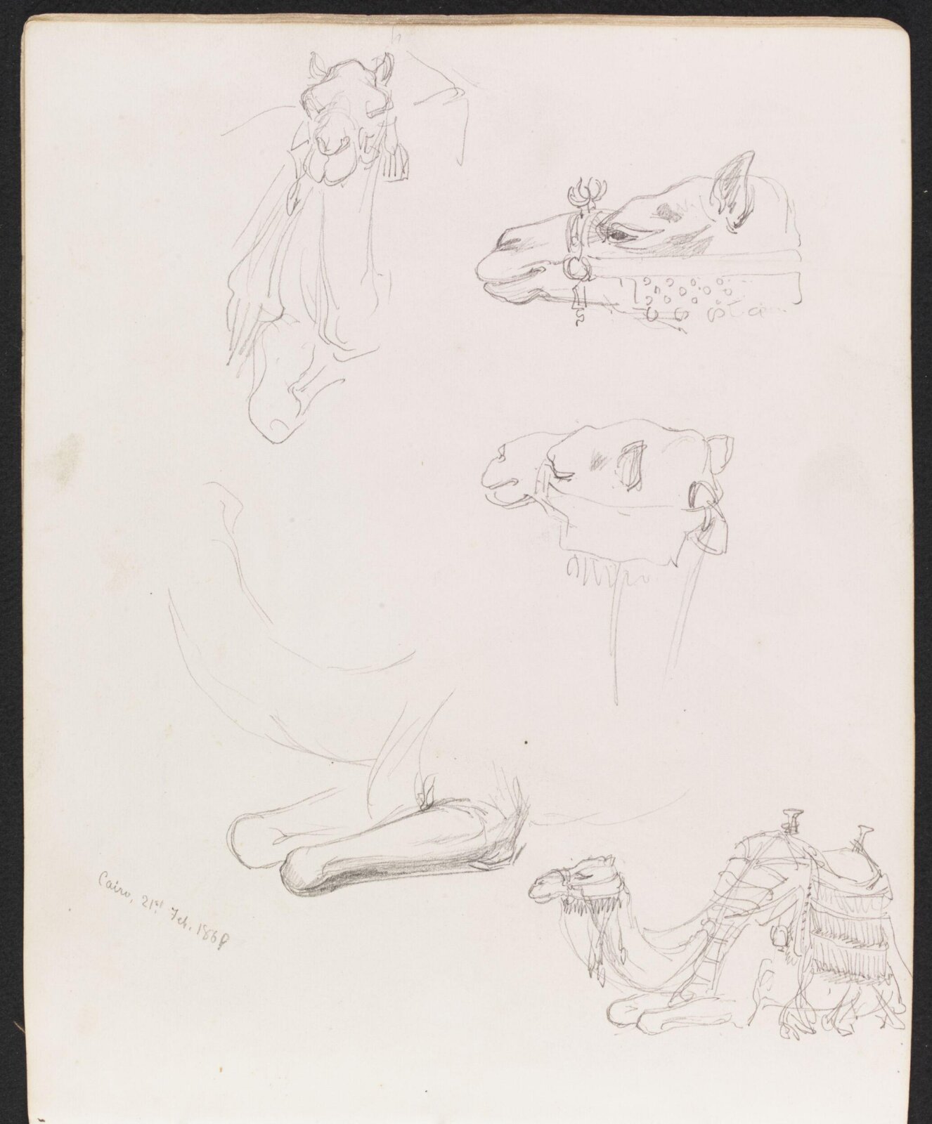Studies of camels, William Simpson, 1869