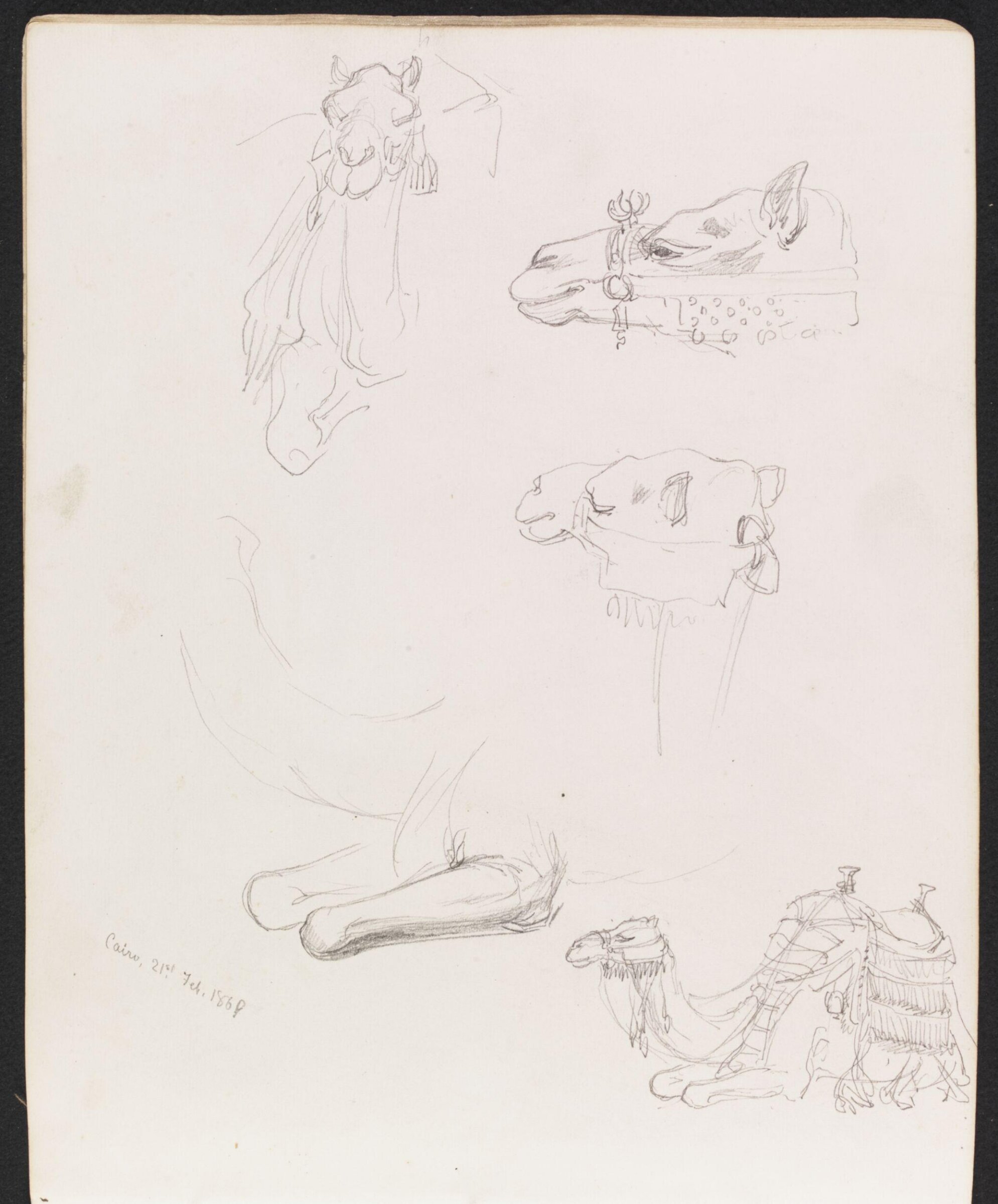 Studies of camels, William Simpson, 1869