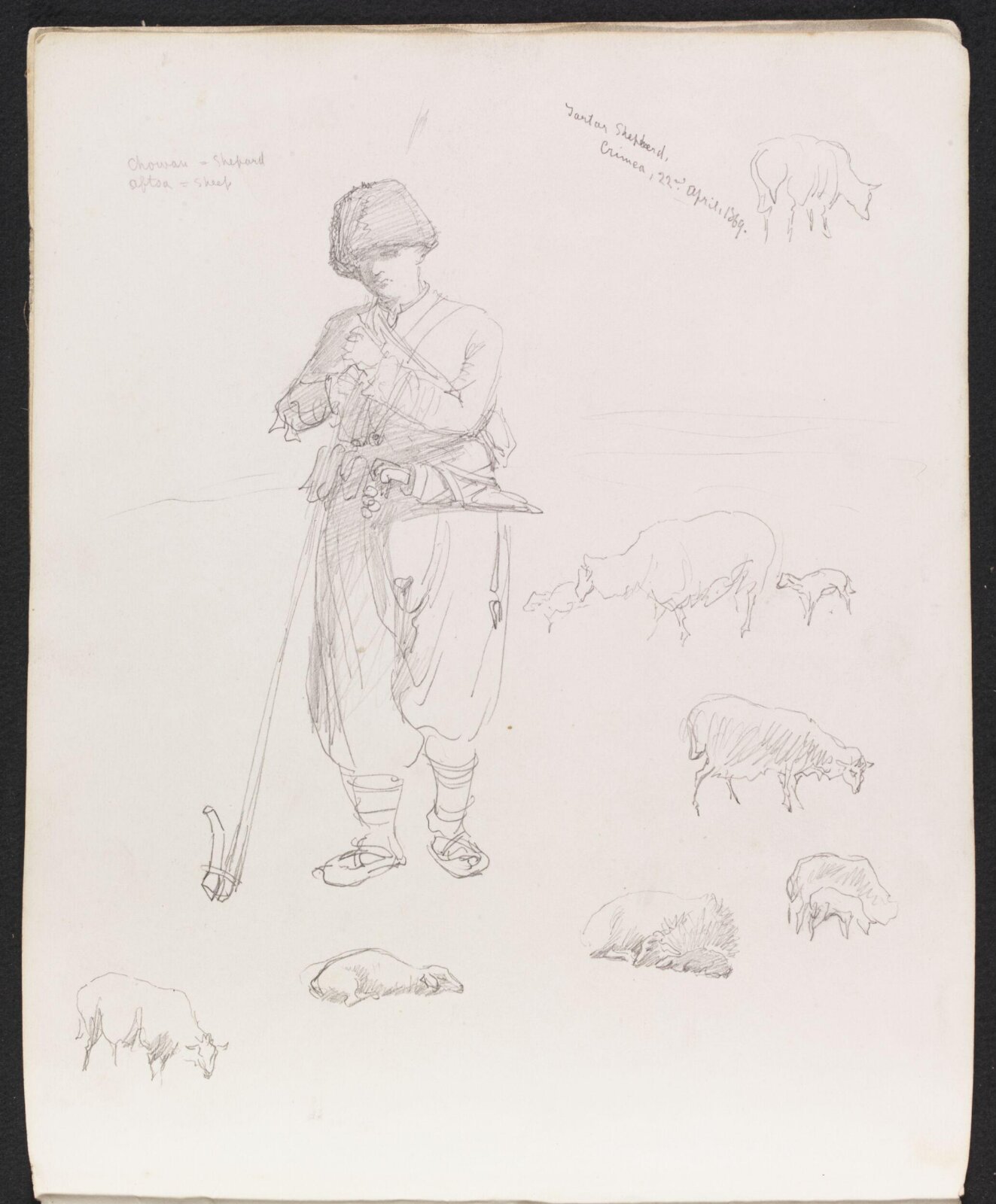 Tartar Shepherd, William Simpson, 1869