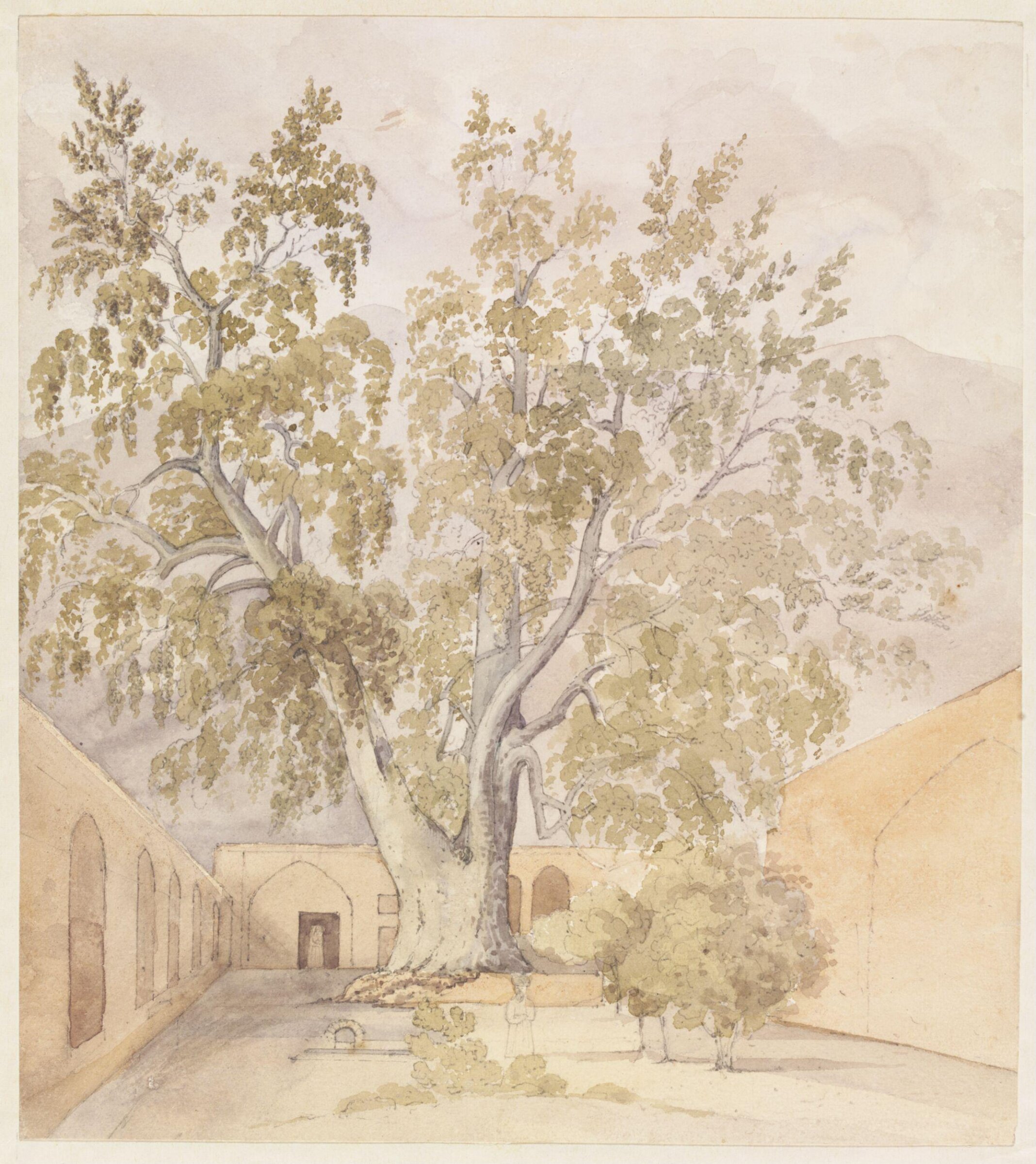 Plane Tree (Chenar) Shemaroon near Tehran Persia, Godfrey Thomas Vigne, 1833