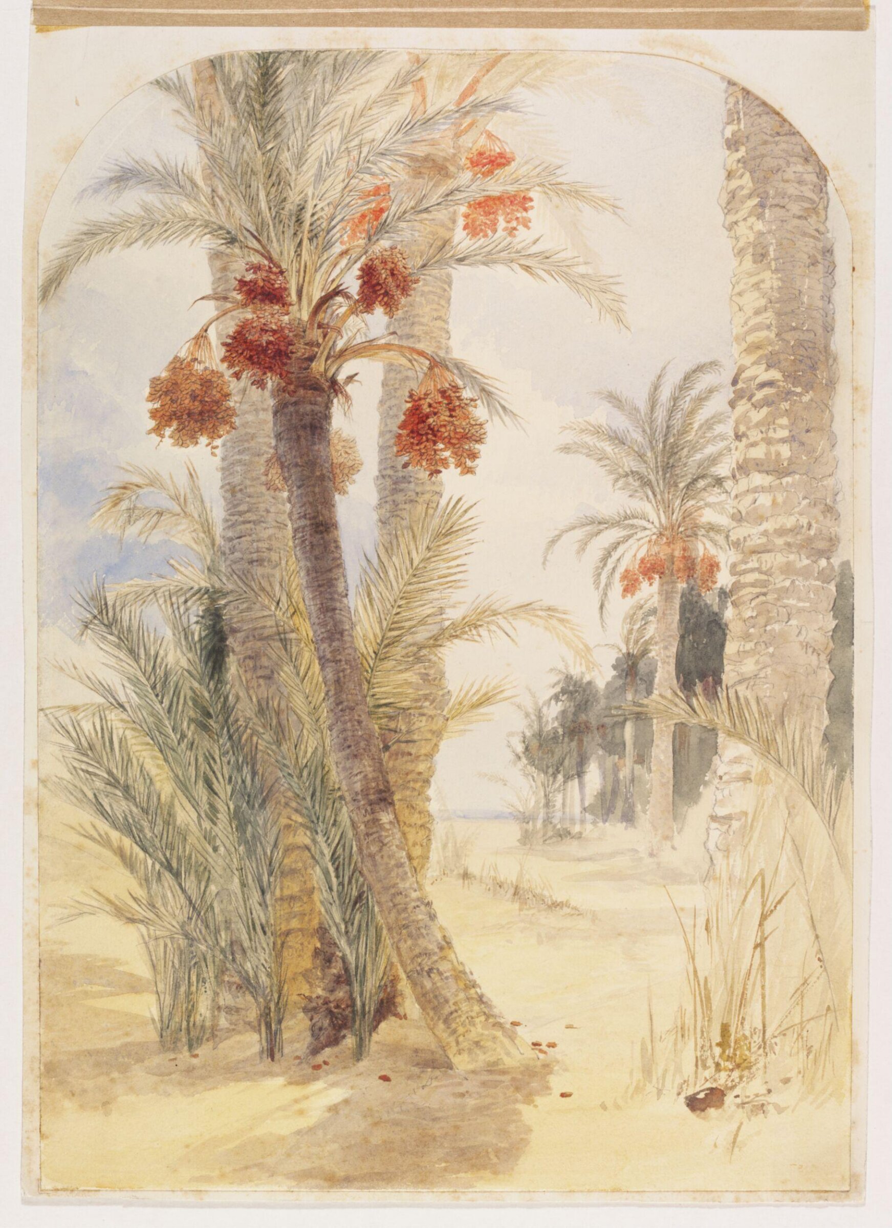 Date grove near Alexandria, Elijah Walton, 1860-1870
