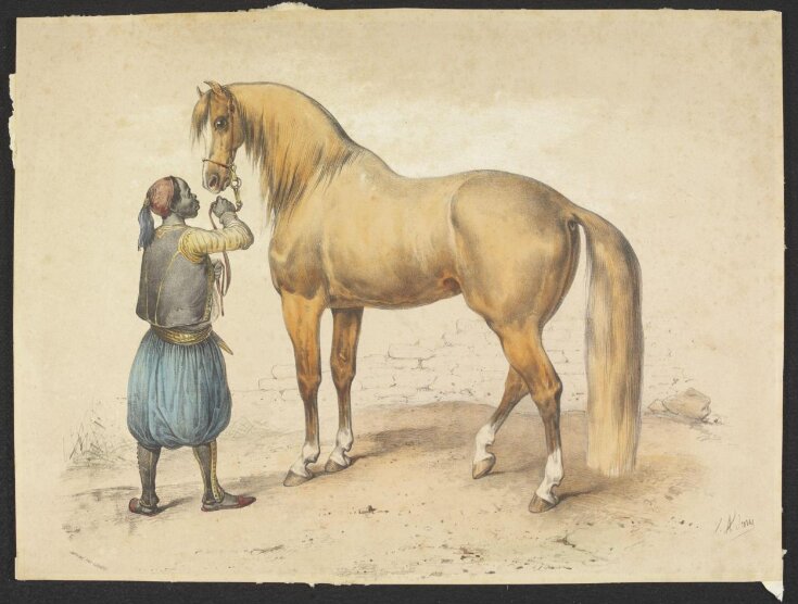 Arab Horse Held by African Groom top image