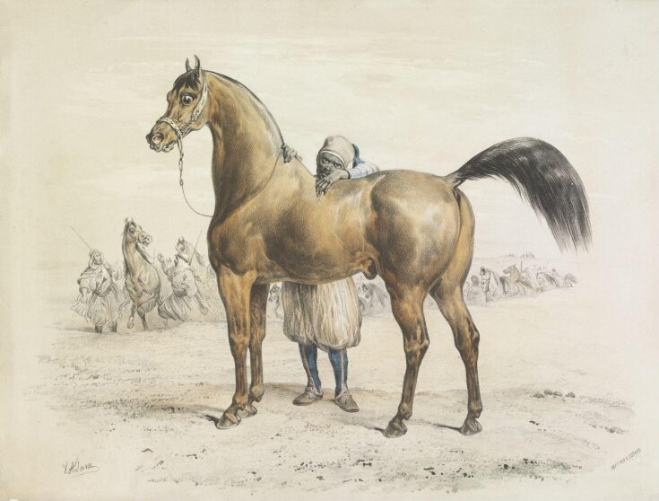 Arab Horse and African Groom top image