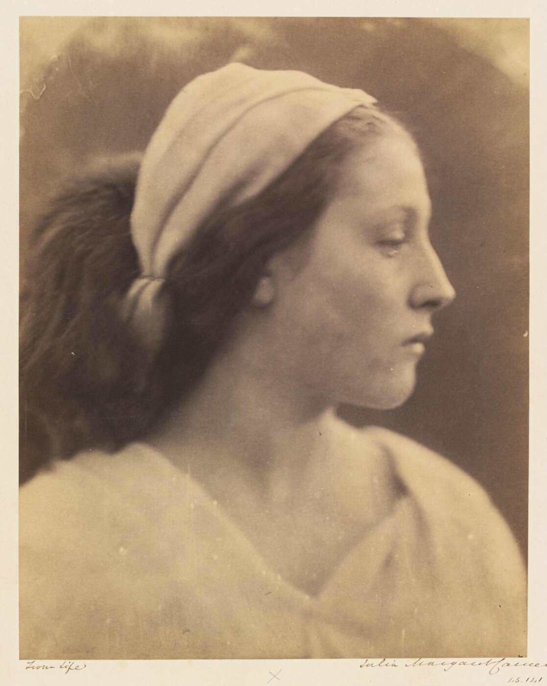 Cameron, Julia Margaret, The lily of the Valley