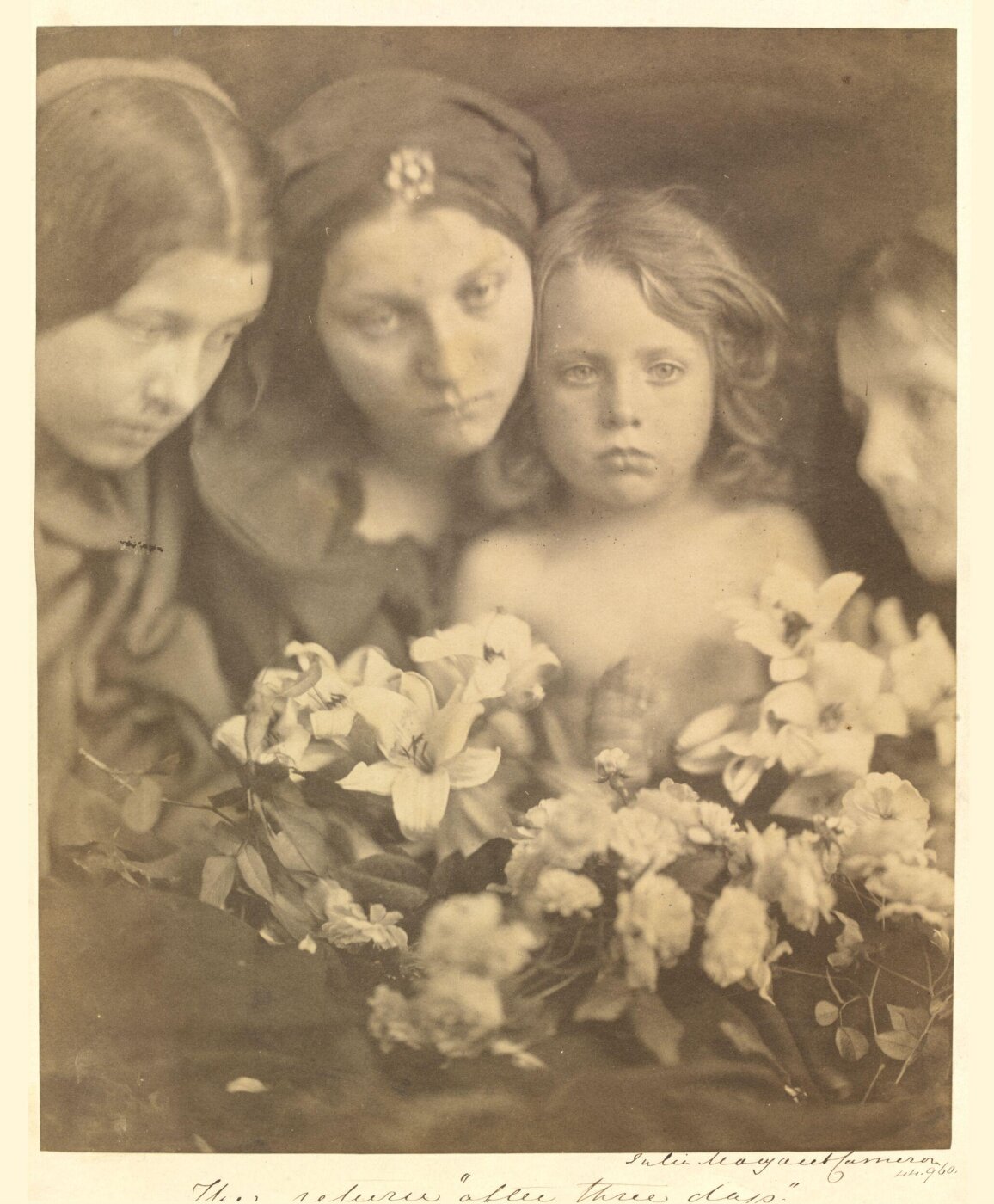 Cameron, Julia Margaret, The return "after three days"