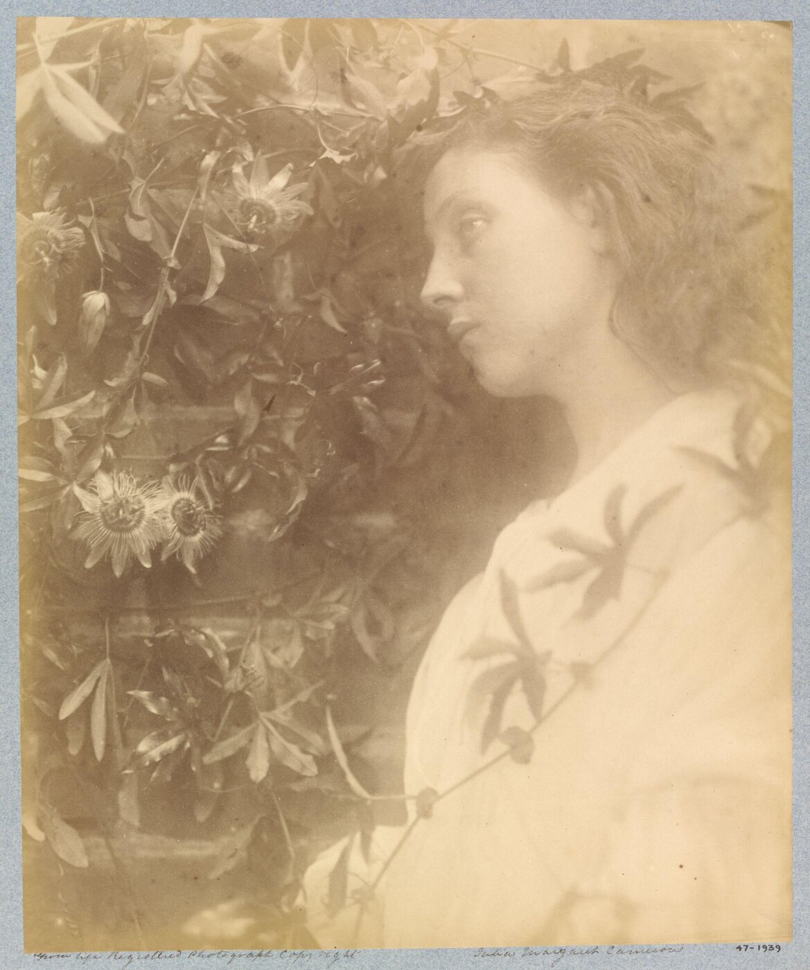 Cameron, Julia Margaret, Maud