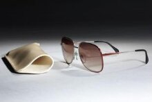 Sunglasses and Case thumbnail 1
