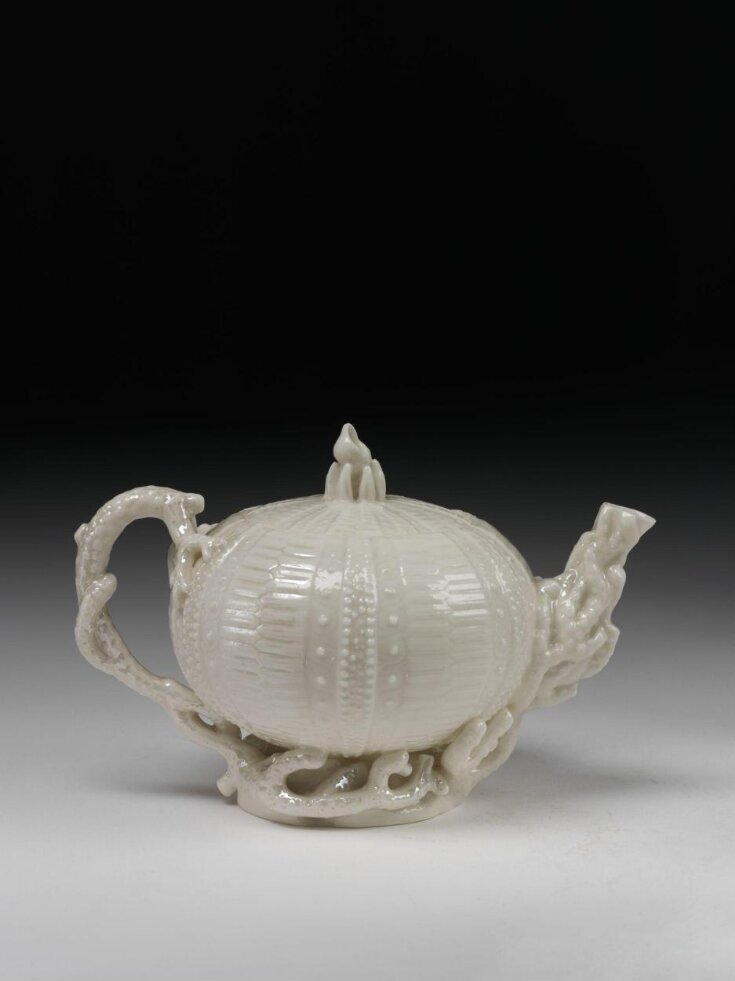'Echinus' range teapot top image