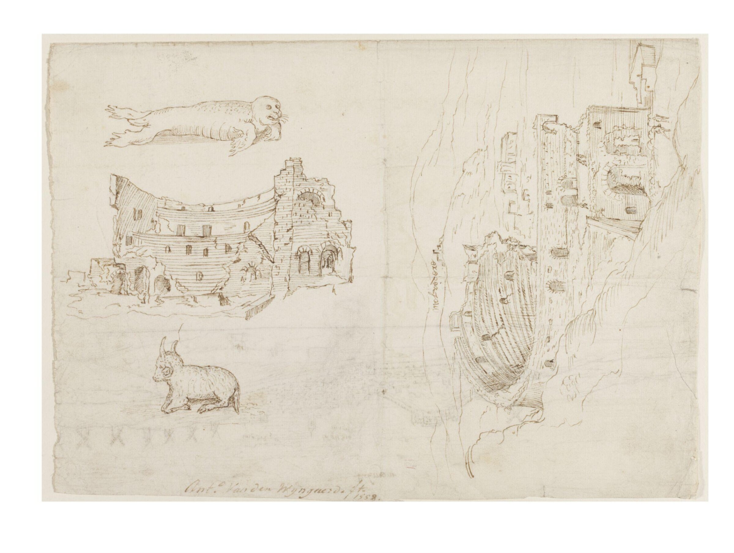 Recto: Sketches of the Remains of the Roman Theatre at Murviedro (Sagunto), and Studies of a Sea Lion and a Ram, Anton van den Wyngaerde, c. 1563-5