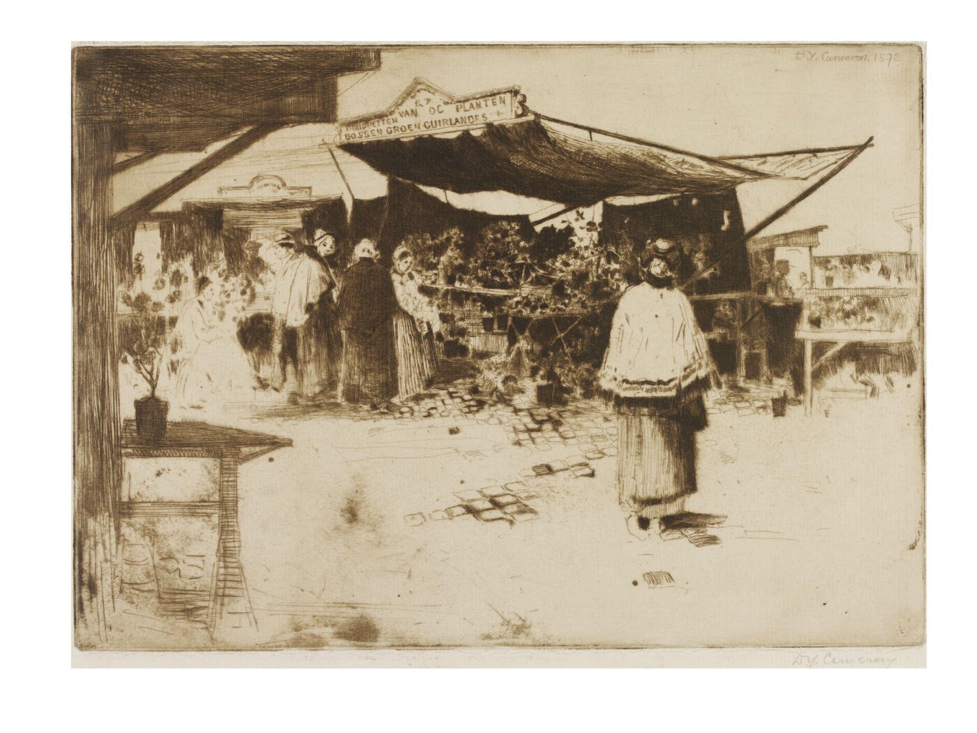 Cameron, Print