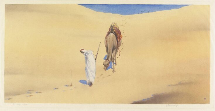 An Arab and his camel in the desert top image
