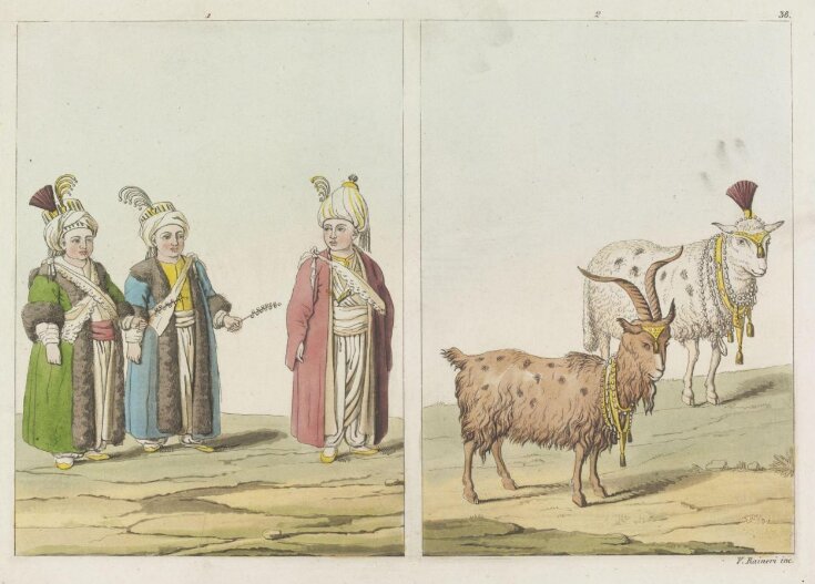 Children, with sheep prepared for ritual slaughter | Vittorio Raineri ...