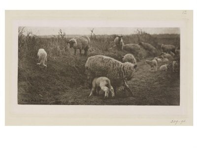 A March Pastoral