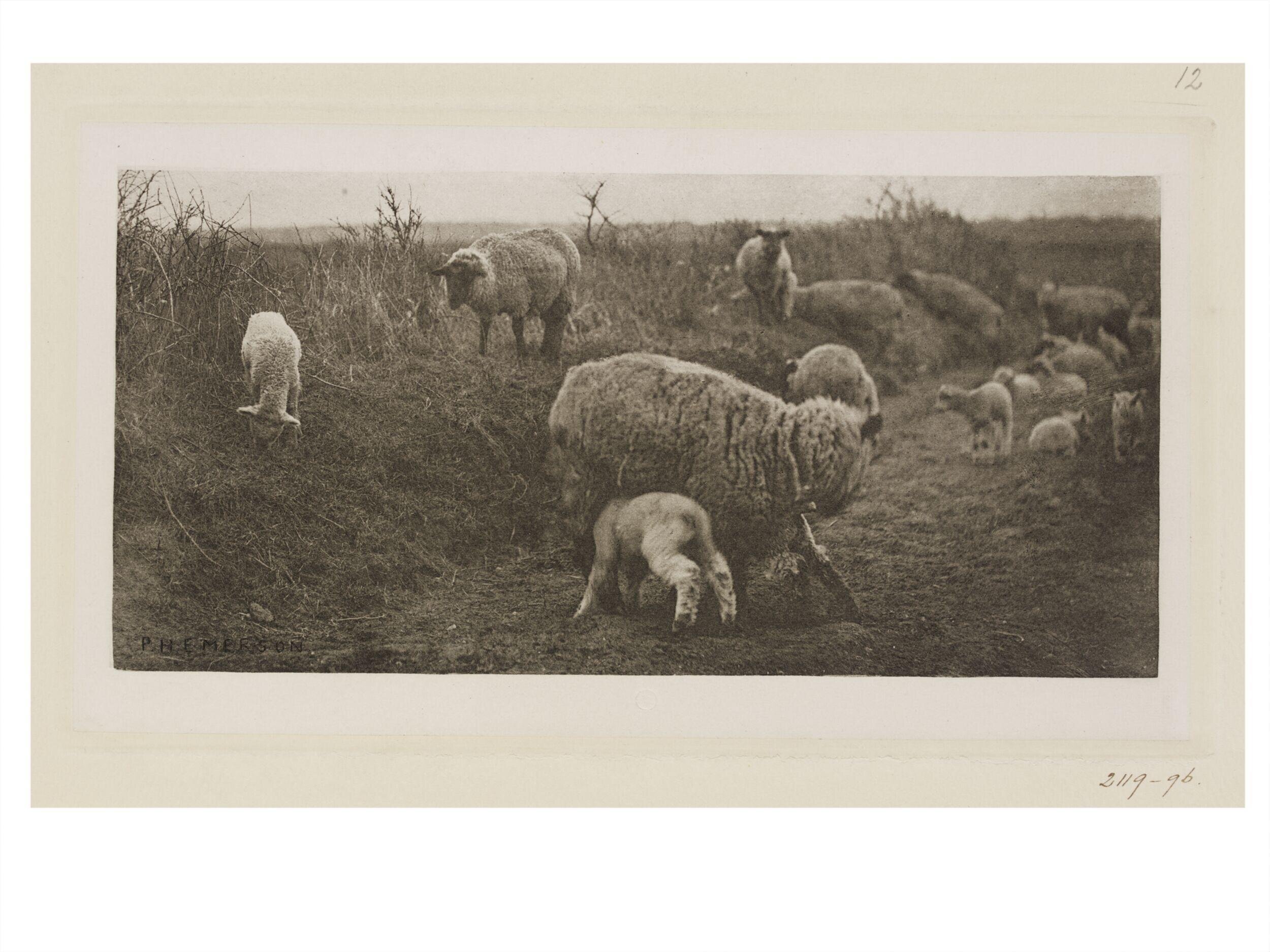 A March Pastoral
