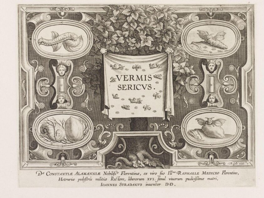 Title plate of Vermis Sericus (ca. 1595) by Carel van Mallery