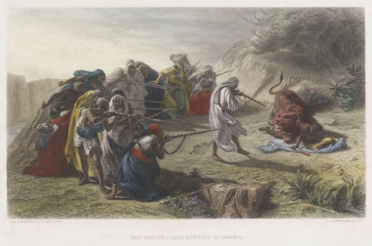 The Rescue - Lion Hunting In Arabia image