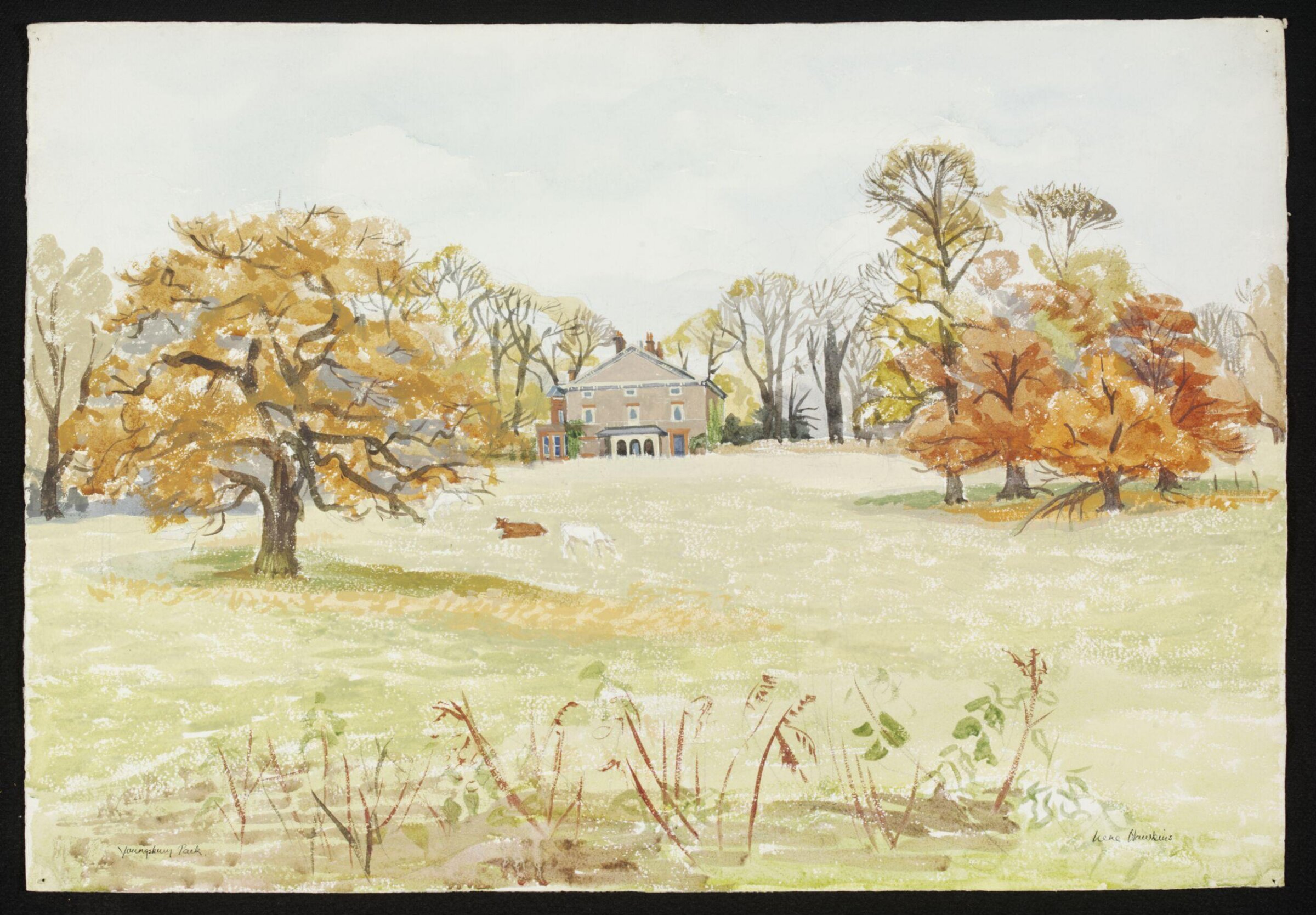 Youngsbury House and Park, Hawkins, ca. 1940