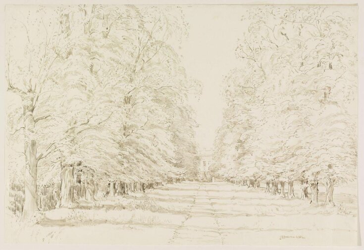 Ham House; the Avenue from the gate in Sandy Lane top image