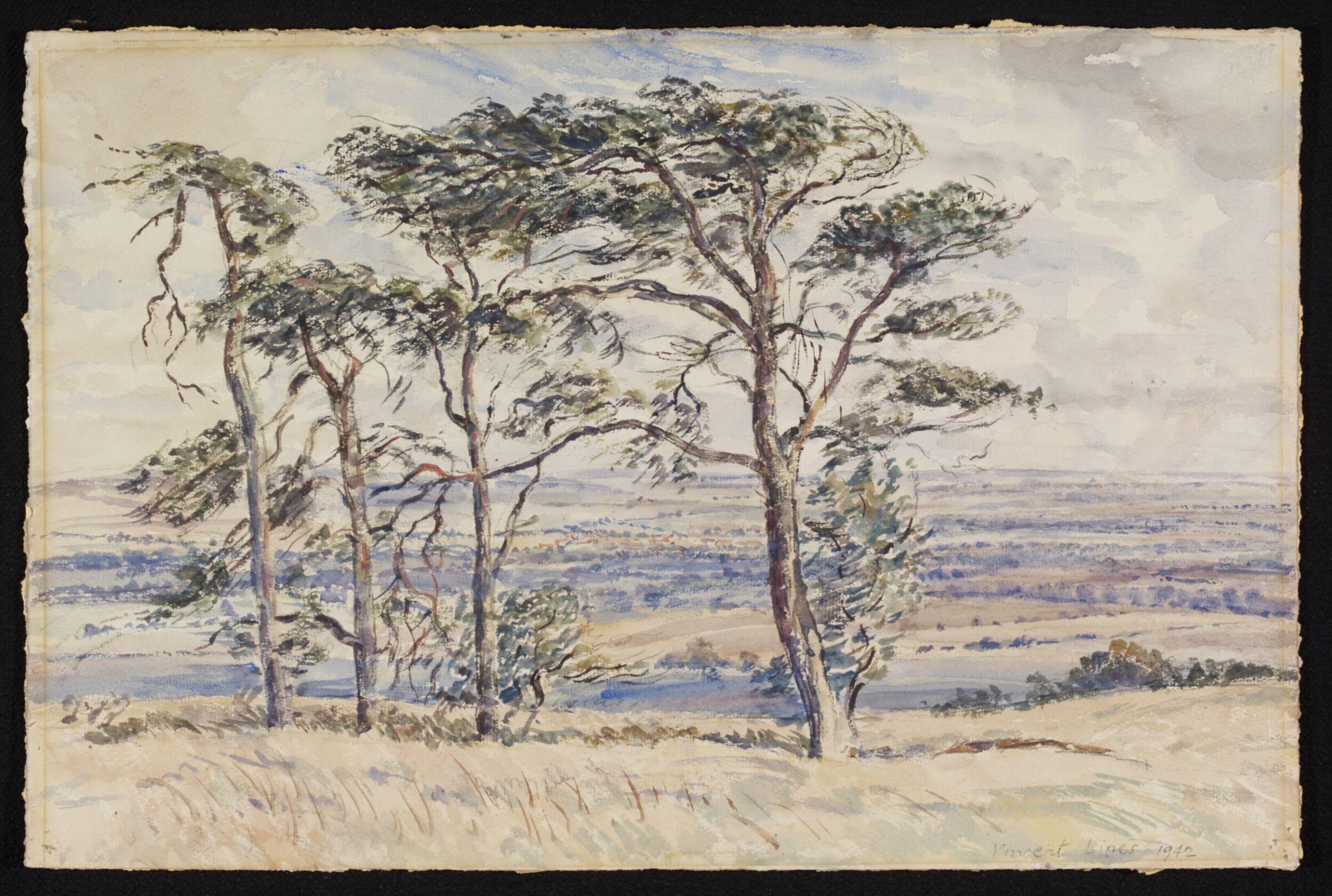 Pewsey Vale and Fir Trees from Martinsell, Lines, 1942