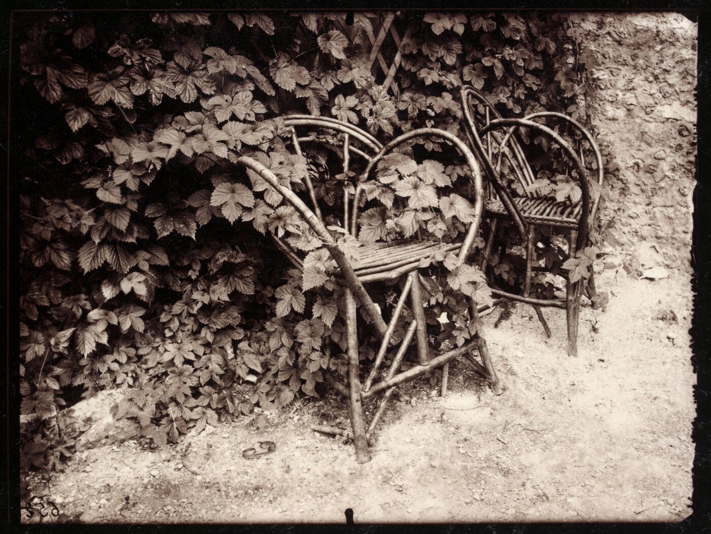 Atget, Jean-Eugène-Auguste, Houblon