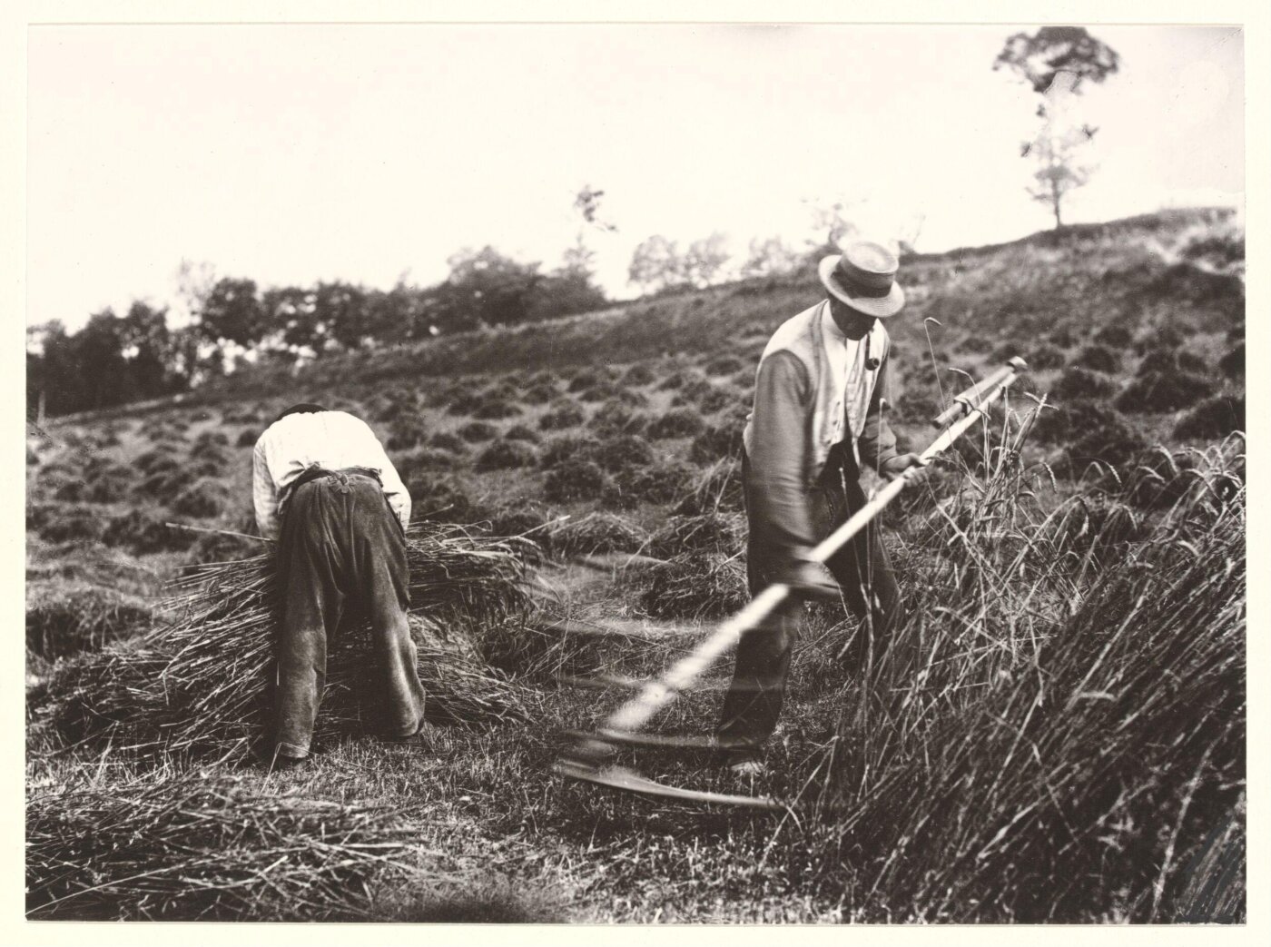 Atget, Jean-Eugène-Auguste, Faucheurs, Somme